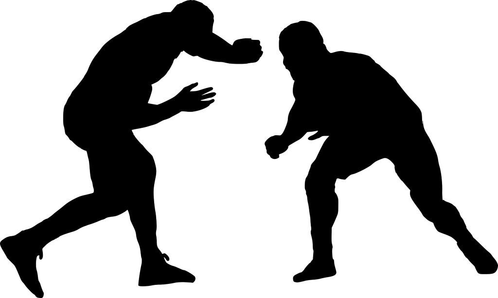 No-Gi Icon